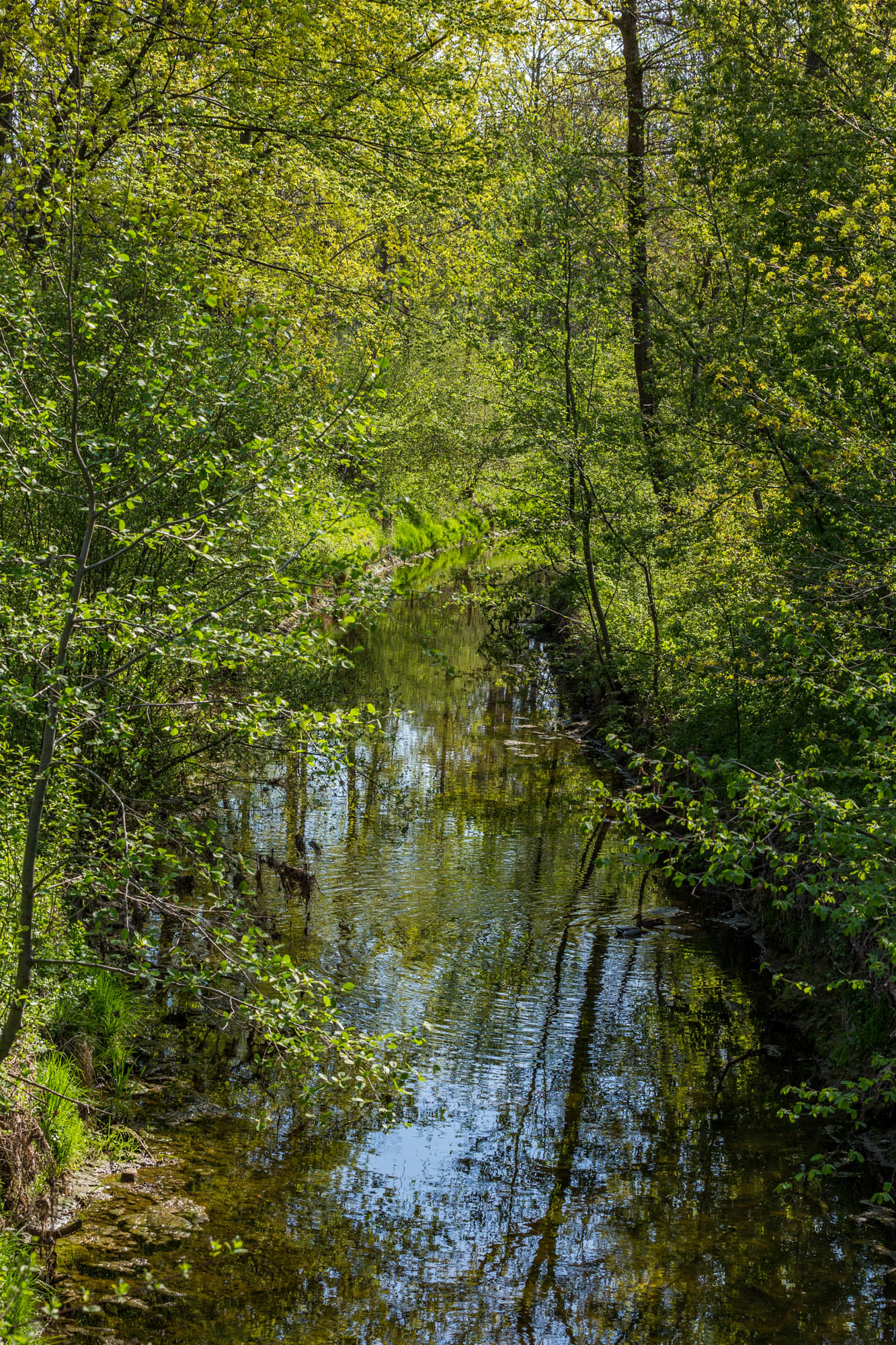 Natur und Landschaft