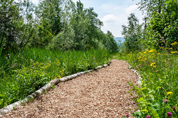 Bild eines Spazierweges in der Naturstation Silberweide