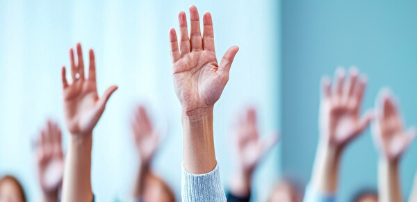 Bild Hände zum Abstimmen aufgestreckt