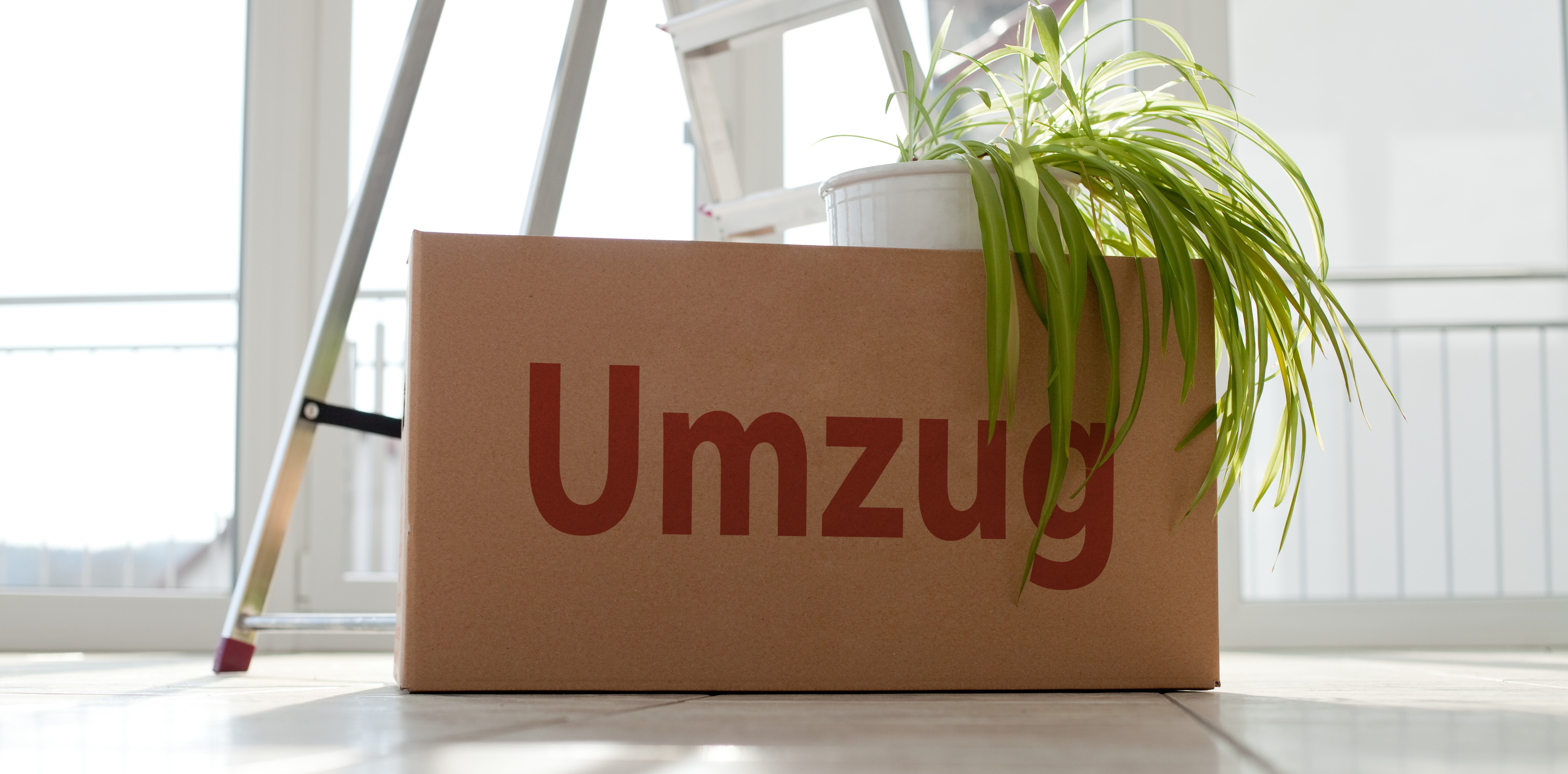 Bild Umzugskarton