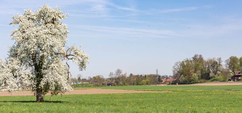 Natur und Landschaft