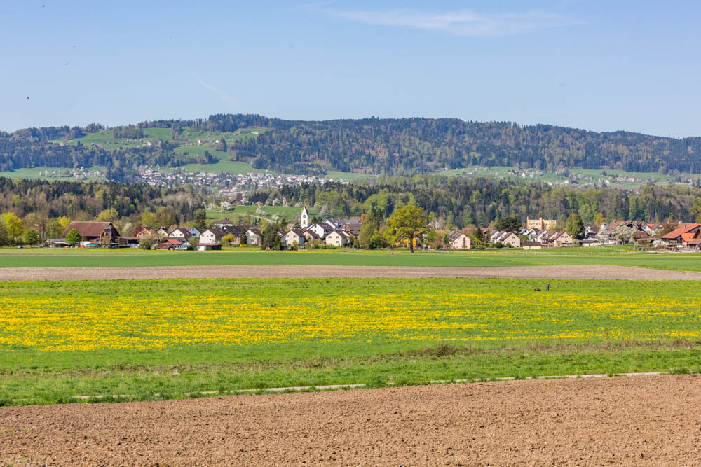 Landschaftsbild von Mönchaltorf