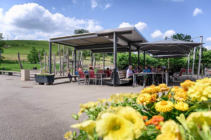 Bild der Aussenanlage der Stiftung Loogarten in Esslingen