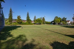 Bild Sportplatz Rietwis - Wiese
