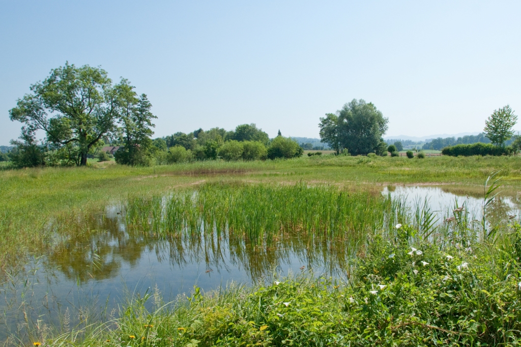Natur und Landschaft