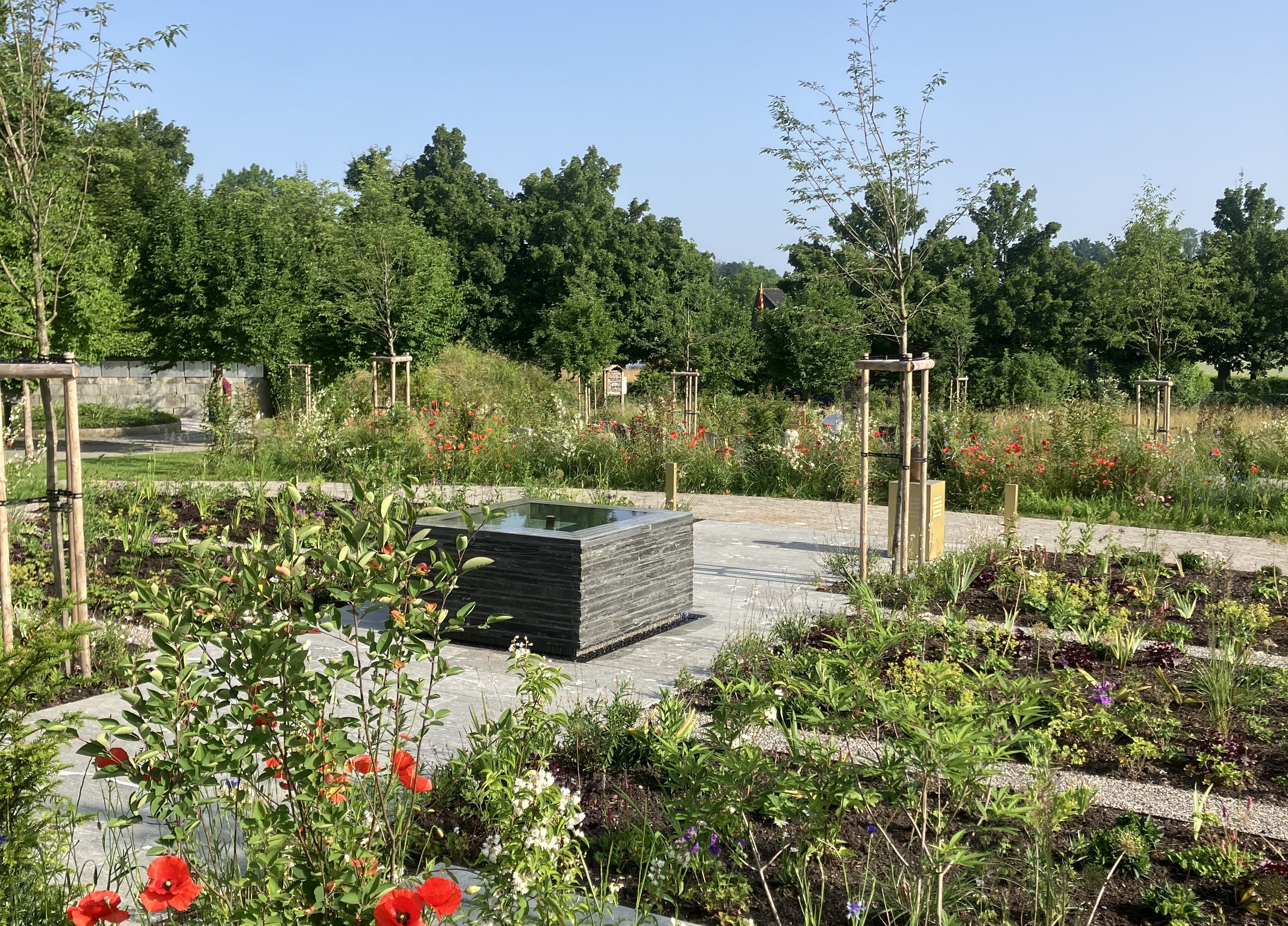 Bild neues Gemeinschaftsgrab Friedhof Räbacher