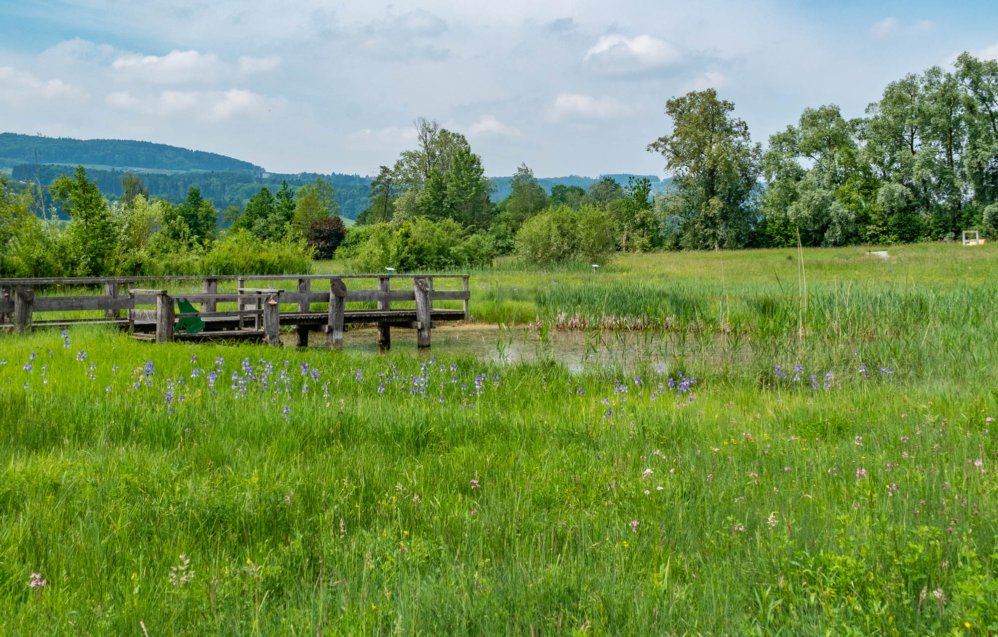 Natur und Landschaft