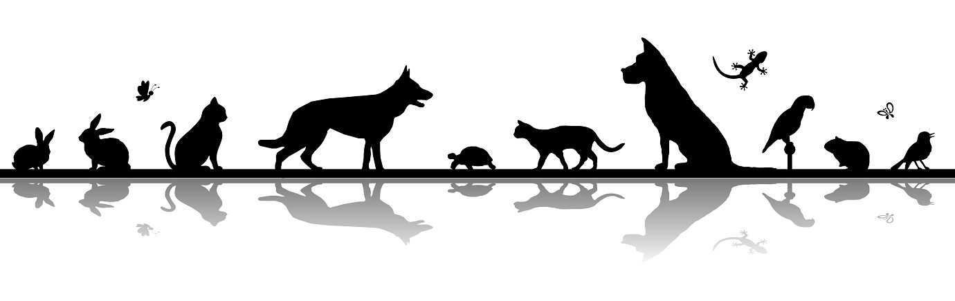 Bild mit verschiedenen Tierschatten