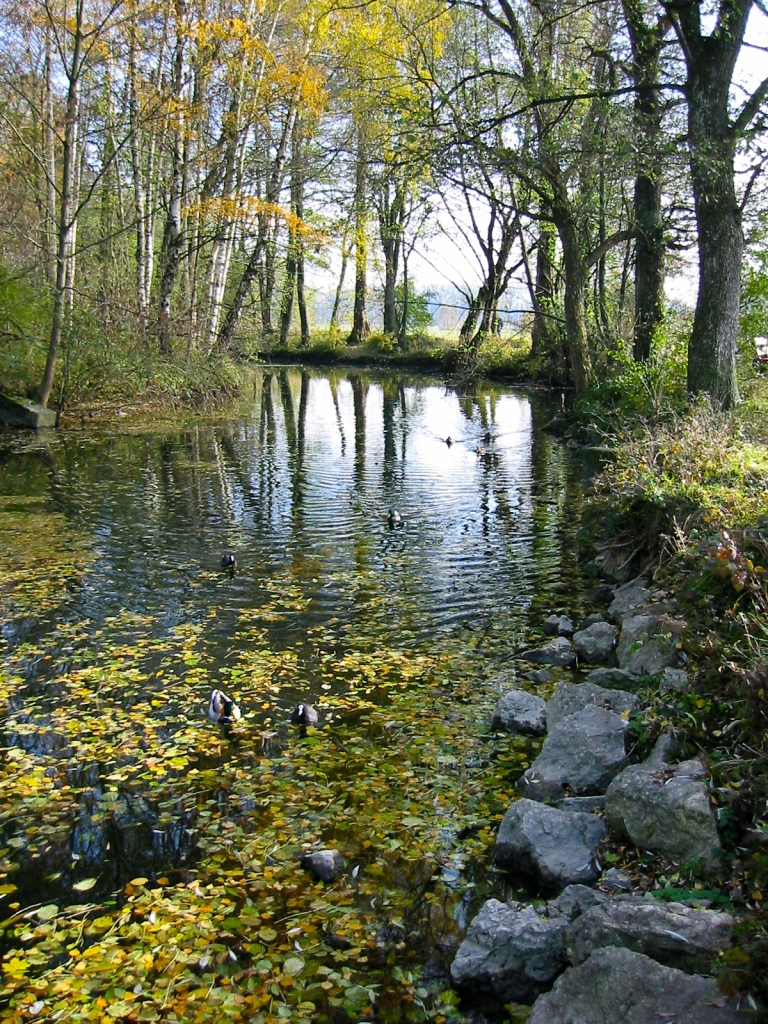 Natur und Landschaft