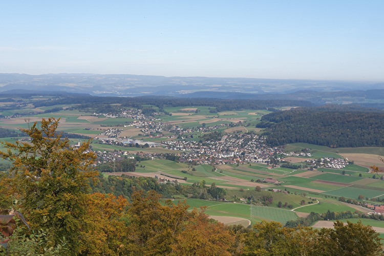 Niederweningen