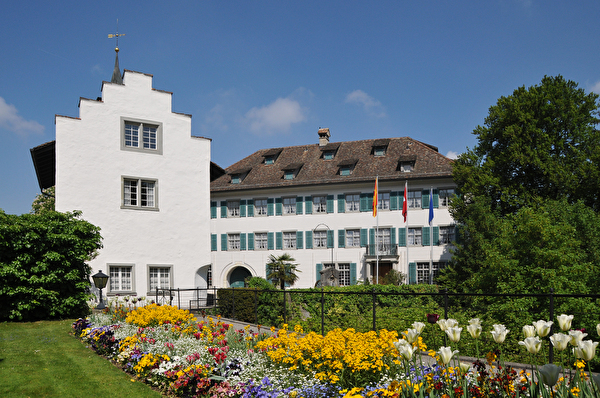 Schloss Andelfingen