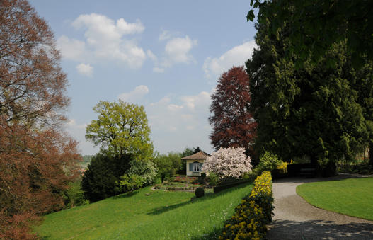 Das Rondell ist von einer beeindruckenden Baum-Kulisse umgeben. Hinter der mächtigen Sämlings-Blutbuche auf der Wiese führt der Eibensaum mit Eiche zum Pavillon. Die Blütenpracht der Tulpen-Magnolie und die Blutbuche runden das Bild ab.