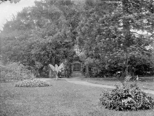 Dieses Bild von ca. 1920 bestätigt, dass auf dem Rondell ein grosser Mammutbaum stand. Gut erkennbar sind zwei Blumenbeete und eine Zierbanane. Der Mammutbaum wurde in den zwanziger Jahren gefällt und die Blumenbeete wurden in den vierziger Jahren aufgehoben und ums Rondell an den Gehölzsaum verlegt.