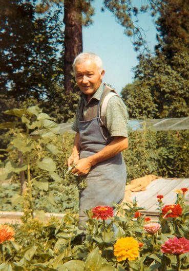 Konrad Herter war Schlossgärtner von 1932 – 1971. Er war verheiratet mit Louise Graf, der Enkelin von Johannes Graf.