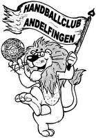 Handballclub Andelfingen