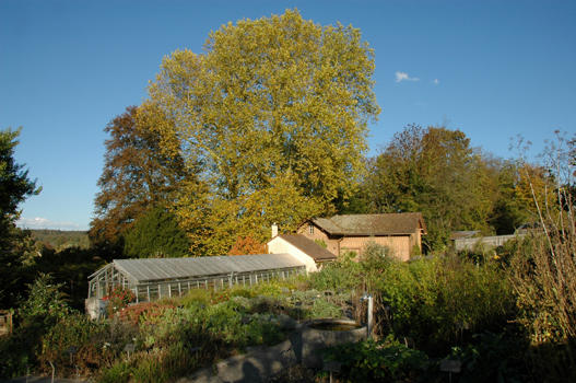 Zum Abschluss unseres Rundgangs begeben wir uns in den intensivsten Teil des Parks, die Gärtnerei. Vom Küchenkräutergarten aus überblicken wir das Treibhaus, den Holzschopf und die vier Platanen, die den Abschluss des Promenadenwegs bilden.