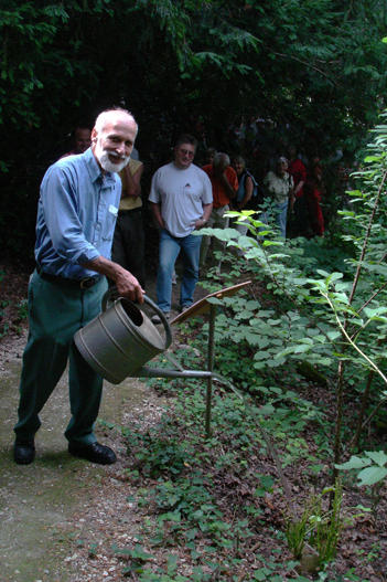 Infolge des Ulmensterbens musste 1992 die mächtige Bergulme hinter dem Pavillon gefällt werden. Zum 20 Jahr-Jubiläum (Schlosskommission und Stiftungsrat) von Johannes Herter-Leu wurde 2005 im Waldstück unterhalb des Pavillons eine Flatterulme (Ulmus laevis) gepflanzt.