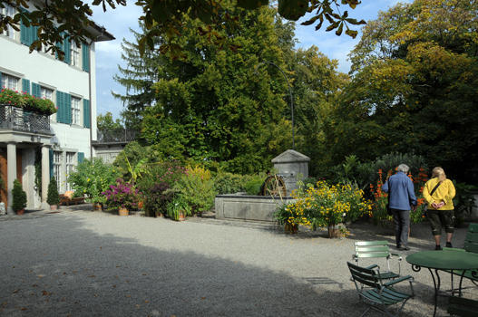 Den Sommer über zieren links und rechts vom Wasserradbrunnen Kübelpflanzen den Schlosshof und verleihen ihm einen Hauch von Exotik.