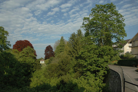 Bevor wir den Promenadenweg unter die Füsse nehmen, lohnt es sich, einen Blick ins Tobel zu werfen, danach sollten wir unbedingt den Blick darüber hinweg in die Tiefe des Parks gleiten lassen. Zwischen zwei Blutbuchen zieht der zierliche Pavillon die Aufmerksamkeit auf sich.