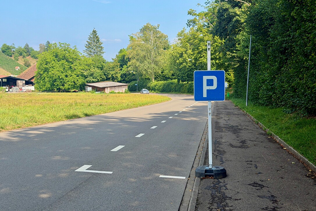 Reitplatzstrasse