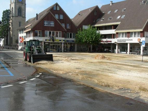 Viehschau 2008