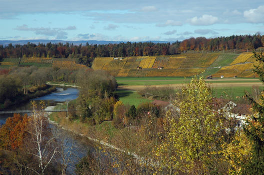 Die Aussicht auf der Schlossterrasse beweist, dass das Schloss genau an der richtigen Stelle errichtet wurde. Der Blick gleitet über die Thur nach Kleinandelfingen und weidet sich am Anblick des gegenüber liegenden Weinbergs, dem Schiterberg. 
Wir begeben uns wieder zurück auf den Schlosshof.
