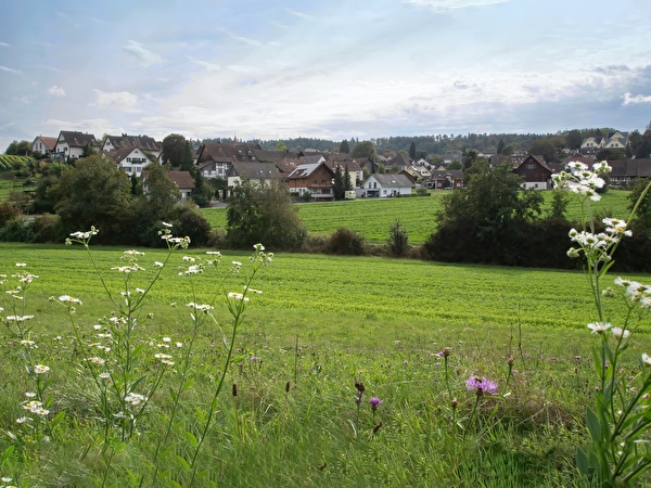 Humlikon
