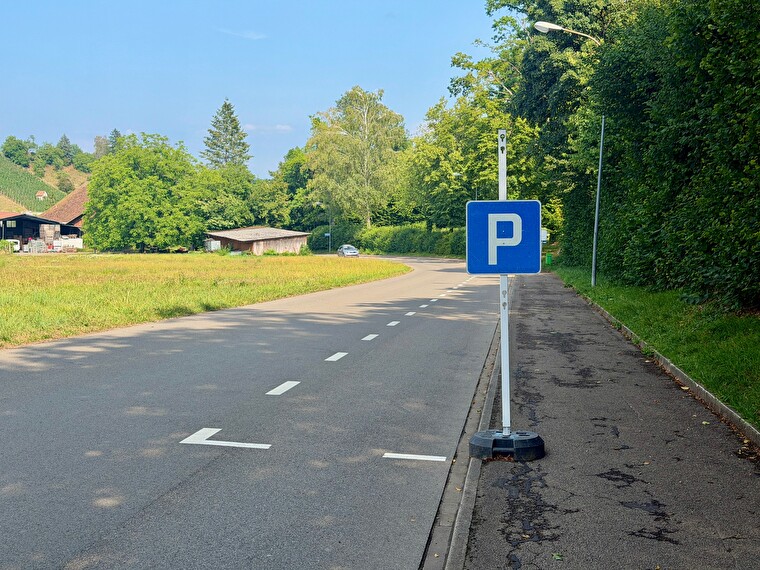 Reitplatzstrasse