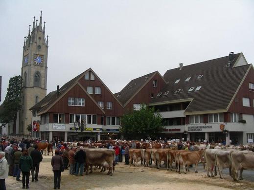 Viehschau 2008