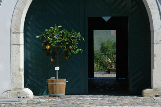 Schlösser haben es in der Regel an sich, an einer repräsentativen Stelle zu stehen. Um zu sehen ob dies auch beim Schloss Andelfingen zutrifft, durchschreiten wir die Türe des grossen, grünen Bogentors im Schlossgebäude und gelangen auf Kopfsteinpflästerung, vorbei an den Wappentafeln der Landvögte, auf die Nordseite des Gebäudes.