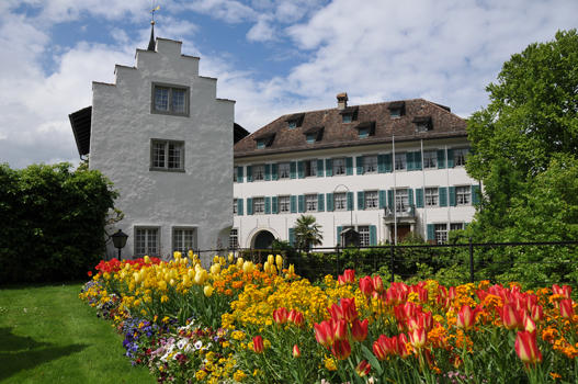 Nicht nur in Kübeln, auch in den Blumenrabatten sind fremde Pflanzen anzutreffen. Die Freude an den Tulpen führte 1637 sogar zu einem Börsenkrach.