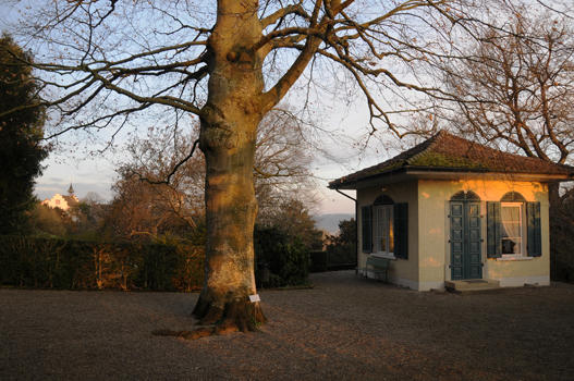 Über den lauschigen Kiesplatz unter der Blutbuche gelangen wir zum Pavillon. Das kleine 1854 erbaute erste Gebäude im Schlosspark lud einst Kinder zur Sonntagsschule ein. Heute ist der Pavillon in der wärmeren Jahreszeit beliebtes Ziel vieler Liebespaare für die Ziviltrauung.