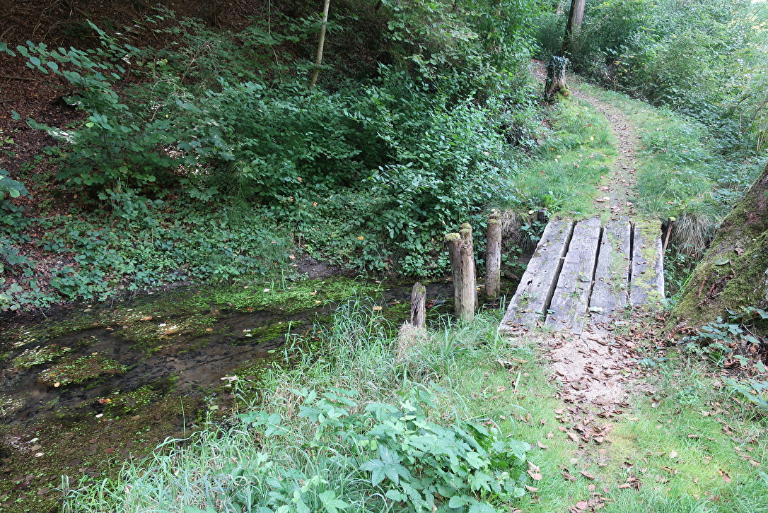 Bach im Wald mit Holzbrücke