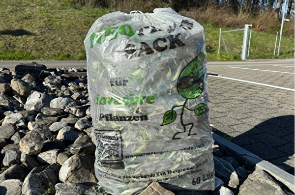 Neophytensack