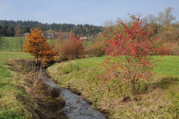 Wilibach