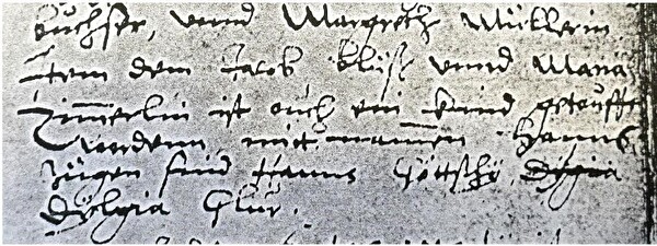 Der erste und älteste Plüss-Eintrag in allen Taufbüchern von Aarburg, Wynau und Zofingen ist die Taufe von Hanns Plüss am 05.03.1575. Die Eltern Jacob Plüss und Maria Zimmerlin. (Eintrag im Taufbuch I A 1571 - 1590 StA Zofingen)