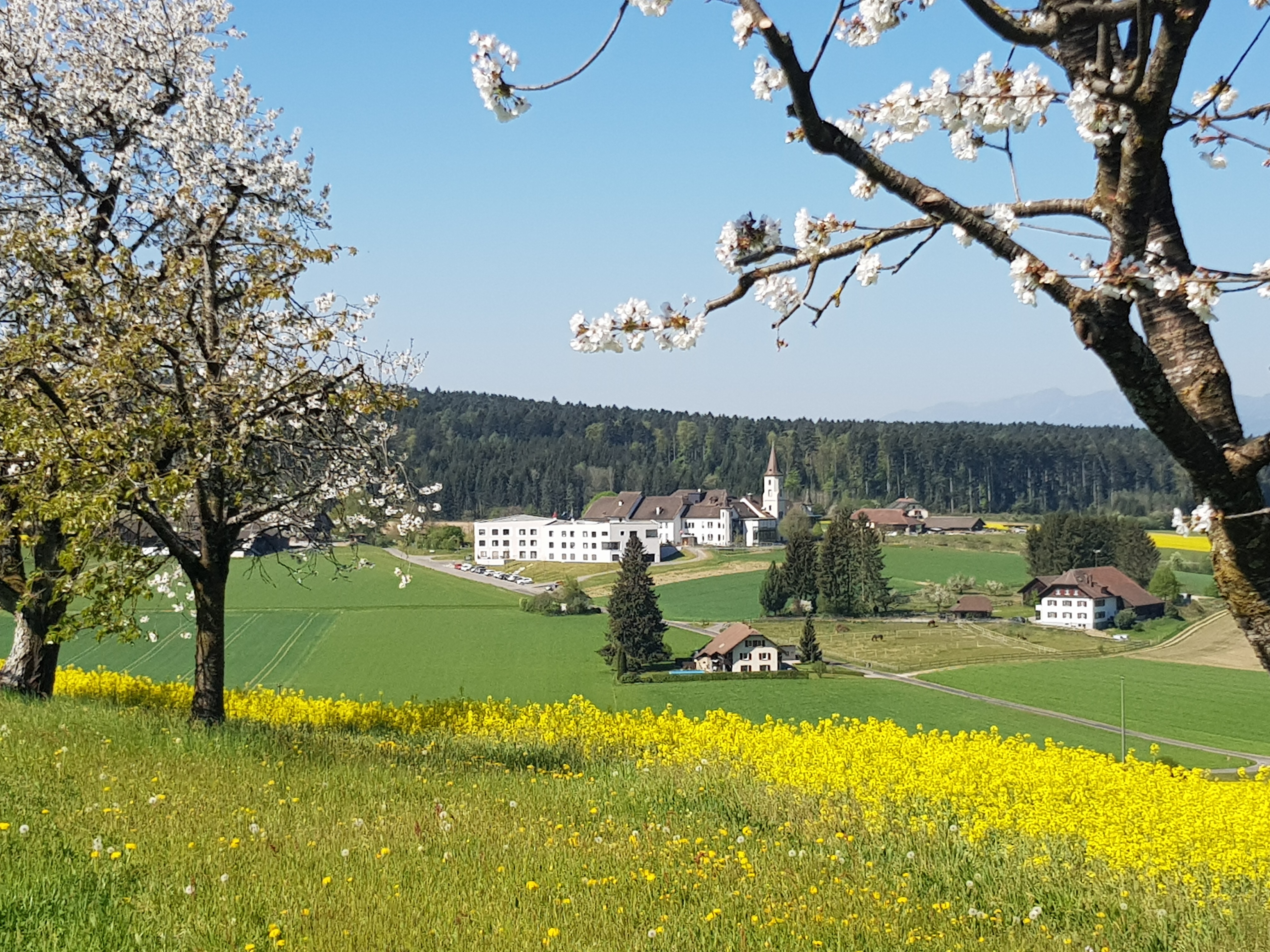 Pflegeheim Sennhof