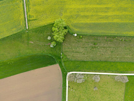 Orny image drone 02
