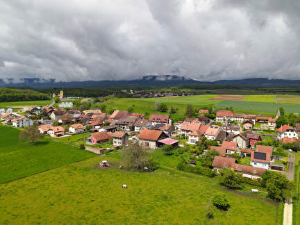 Orny image drone 06