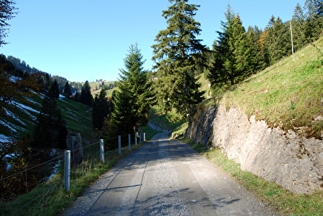 Rigiweg