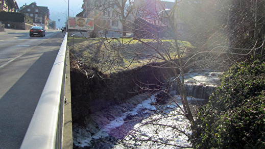 Rigi-aa