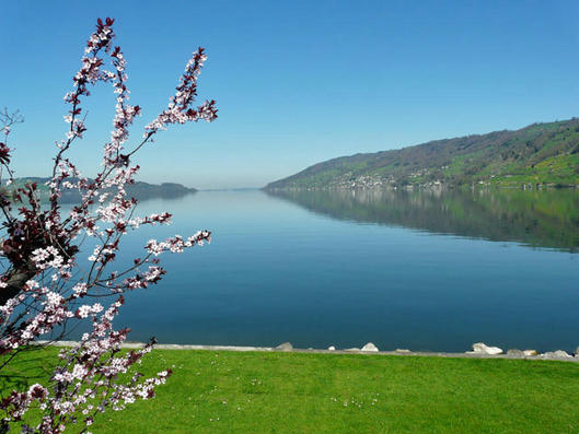 Blick nach Walchwil