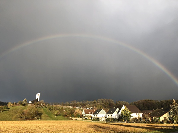 Regenbogen Wil ZH