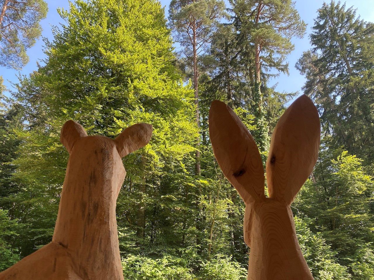 Bild aus Sicht der Tiere