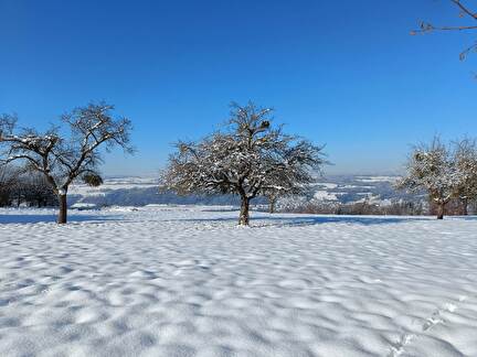 Lovatens (hiver)