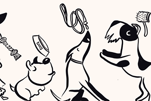 Rappel des chiens et les espaces publics