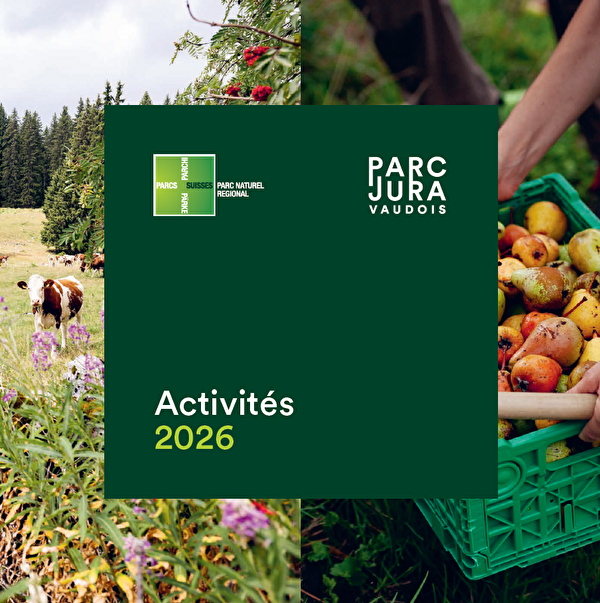 Activités du Parc Jura Vaudois