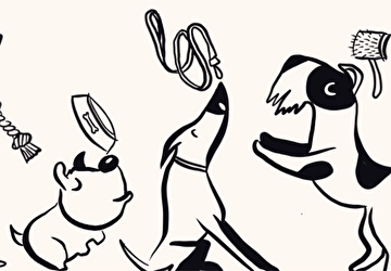 Rappel des chiens et les espaces publics