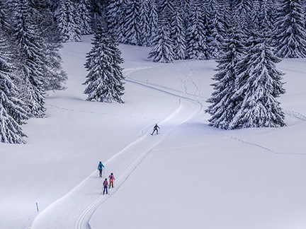 St-Cergue - hiver - ski nordique
