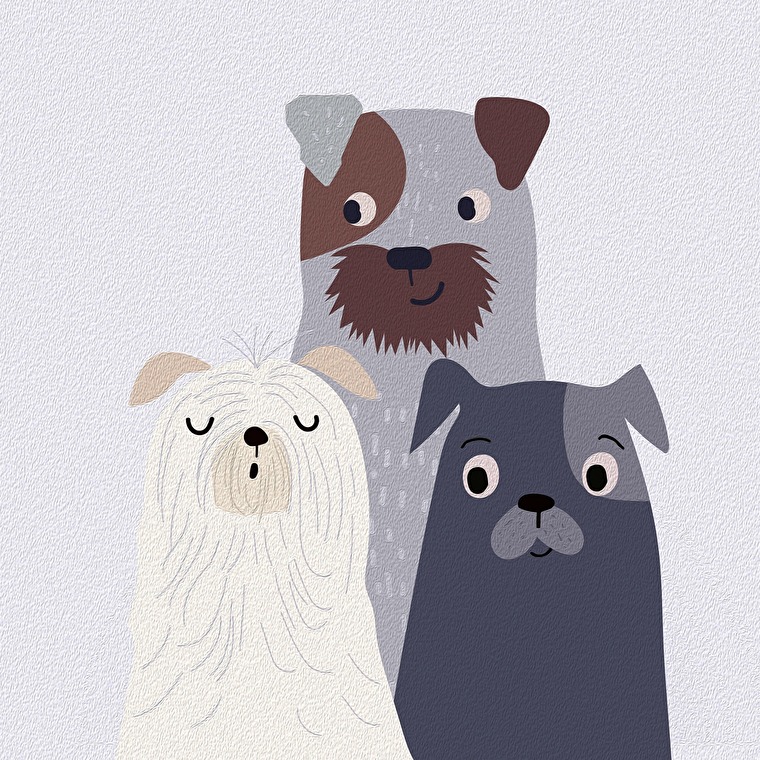 Recensement des chiens